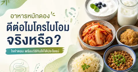 อาหารหมักช่วยลำไส้จริงไหม? — คู่มือเริ่มต้นแบบไม่หลงกระแส