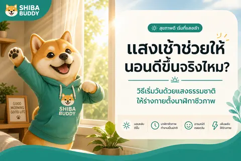 แสงเช้าช่วยให้นอนดีขึ้นจริงไหม? — วิธีเริ่มวันด้วยแสงธรรมชาติให้ร่างกายตั้งนาฬิกาชีวภาพ